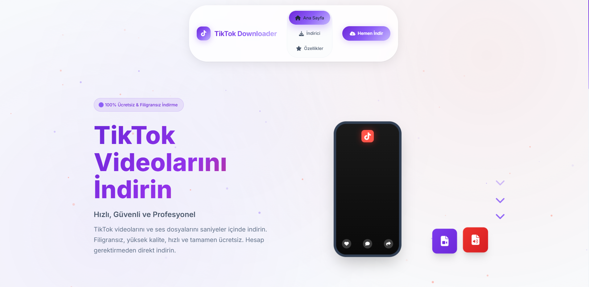 TikTok Video İndirici